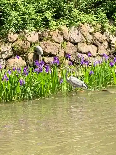 西宮神社の庭園