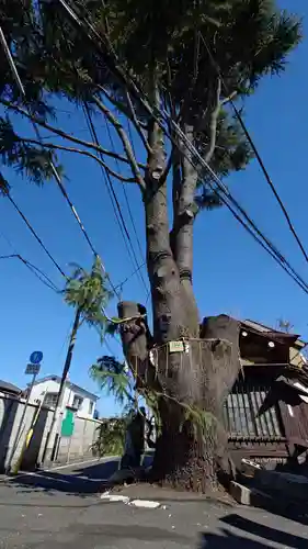 妙行寺(東京都)
