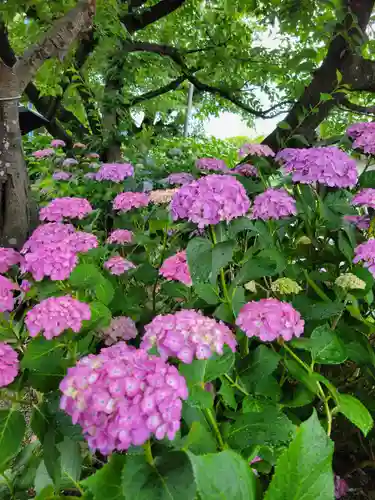 性海寺(愛知県)