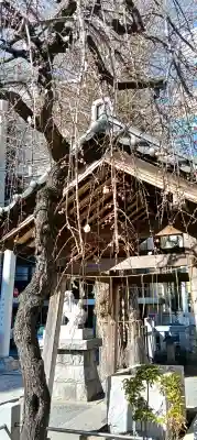 柏神社の{uncategorized: "未分類", other: "その他", undefined: "問題あり", building: "その他建物", grave: "お墓", sacred_gate: "鳥居", guardian: "狛犬", statue: "像", buddha: "仏像", history: "歴史", nature: "自然", garden: "庭園", animal: "動物", pagoda: "塔", temizu: "手水舎", mountain_gate: "山門・神門", sanctuary: "本殿・本堂", subordinate: "末社・摂社", art: "芸術", scenery: "景色", jizo: "地蔵", ema: "絵馬", goshuin: "御朱印", omikuji: "おみくじ", items: "授与品その他", amulet: "お守り", goshuincho: "御朱印帳", eats: "食事", festival: "お祭り", votive_dance: "神楽", shichigosan: "七五三参", wedding: "結婚式", experience: "体験その他", initially: "初詣", around: "周辺", anti_infection: "感染症対策"}