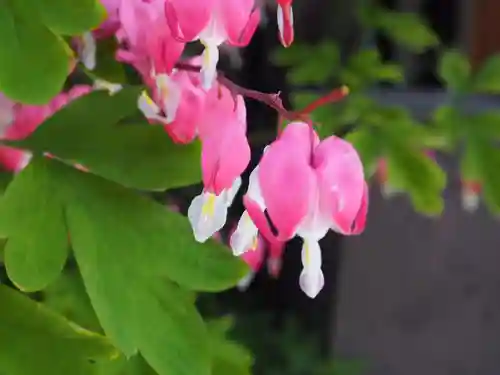 四柱神社の自然