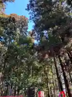 大宮温泉神社(栃木県)