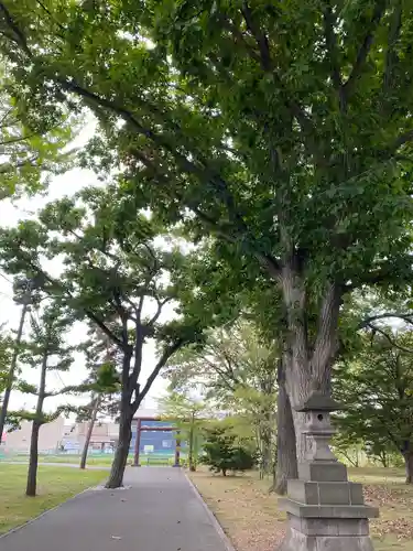 厚別神社の鳥居