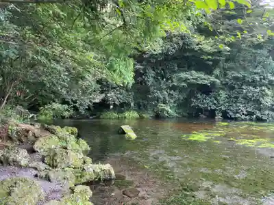 富士山本宮浅間大社(静岡県)