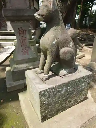 半田稲荷神社の狛犬