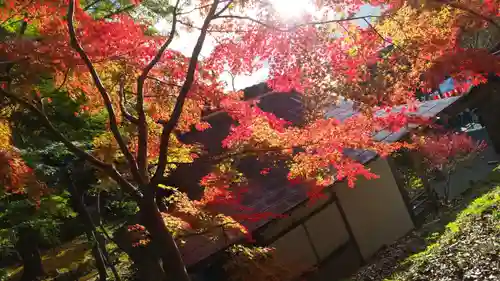 出雲大神宮の自然