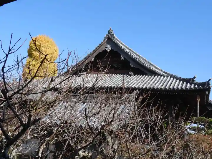 穴太寺(京都府)