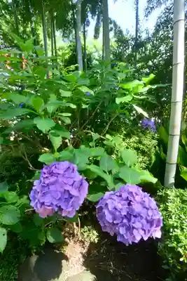 座間神社(神奈川県)