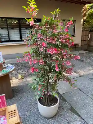赤坂氷川神社(東京都)