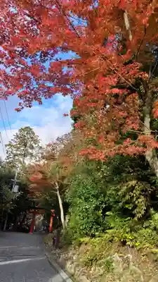 吉田神社(京都府)