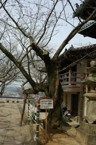 金剛宝寺（紀三井寺）の自然