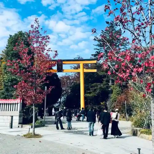 川越氷川神社(埼玉県)
