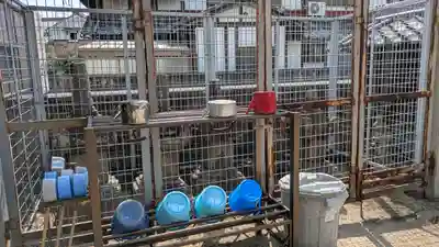 深廣寺(京都府)