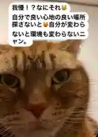 専念寺の動物