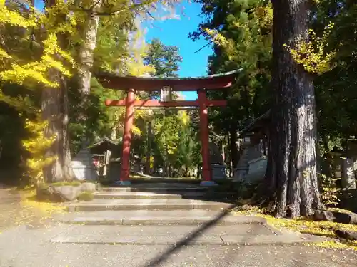 岡太神社・大瀧神社の鳥居