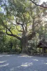 月夜見宮（豊受大神宮別宮）(三重県)