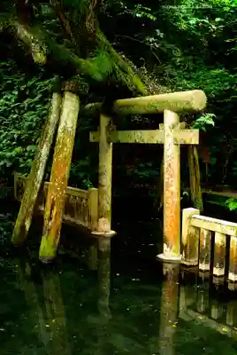 奥宮(鹿島神宮摂社)(茨城県)