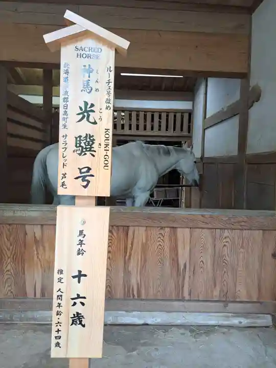 金刀比羅宮(香川県)