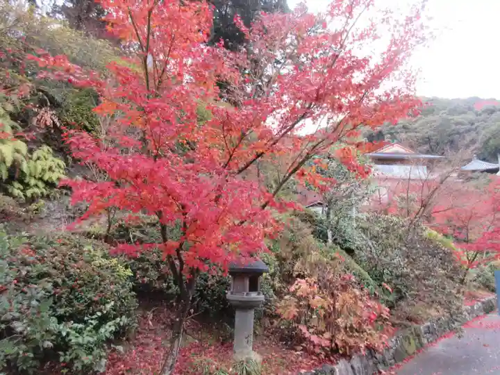 三室戸寺(京都府)