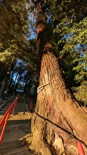 生子神社の{uncategorized: "未分類", other: "その他", undefined: "問題あり", building: "その他建物", grave: "お墓", sacred_gate: "鳥居", guardian: "狛犬", statue: "像", buddha: "仏像", history: "歴史", nature: "自然", garden: "庭園", animal: "動物", pagoda: "塔", temizu: "手水舎", mountain_gate: "山門・神門", sanctuary: "本殿・本堂", subordinate: "末社・摂社", art: "芸術", scenery: "景色", jizo: "地蔵", ema: "絵馬", goshuin: "御朱印", omikuji: "おみくじ", items: "授与品その他", amulet: "お守り", goshuincho: "御朱印帳", eats: "食事", festival: "お祭り", votive_dance: "神楽", shichigosan: "七五三参", wedding: "結婚式", experience: "体験その他", initially: "初詣", around: "周辺", anti_infection: "感染症対策"}