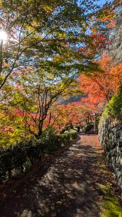 善峯寺(京都府)