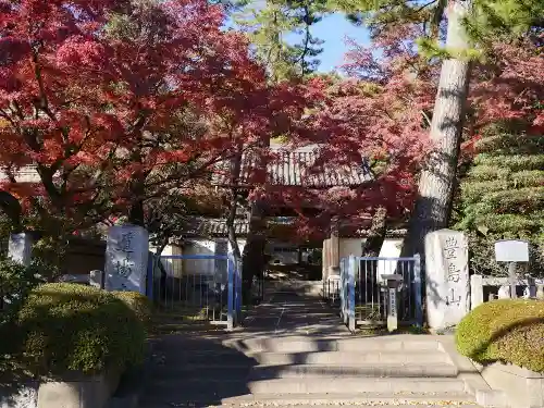 道場寺の山門