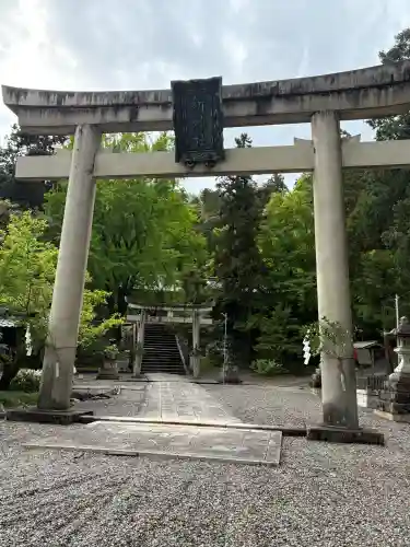 新神社の{uncategorized: "未分類", other: "その他", undefined: "問題あり", building: "その他建物", grave: "お墓", sacred_gate: "鳥居", guardian: "狛犬", statue: "像", buddha: "仏像", history: "歴史", nature: "自然", garden: "庭園", animal: "動物", pagoda: "塔", temizu: "手水舎", mountain_gate: "山門・神門", sanctuary: "本殿・本堂", subordinate: "末社・摂社", art: "芸術", scenery: "景色", jizo: "地蔵", ema: "絵馬", goshuin: "御朱印", omikuji: "おみくじ", items: "授与品その他", amulet: "お守り", goshuincho: "御朱印帳", eats: "食事", festival: "お祭り", votive_dance: "神楽", shichigosan: "七五三参", wedding: "結婚式", experience: "体験その他", initially: "初詣", around: "周辺", anti_infection: "感染症対策"}