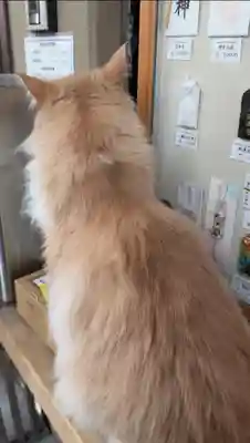駒込妙義神社(東京都)