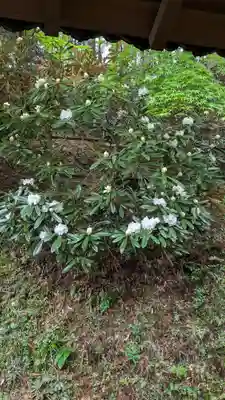 千如寺大悲王院(福岡県)