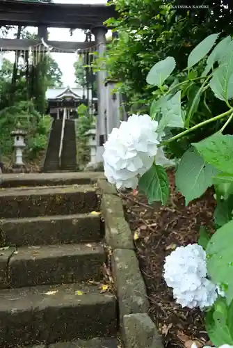 西八朔杉山神社(神奈川県)