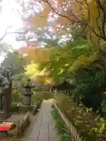 安國論寺(安国論寺)の庭園