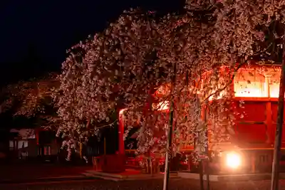 富士山本宮浅間大社(静岡県)