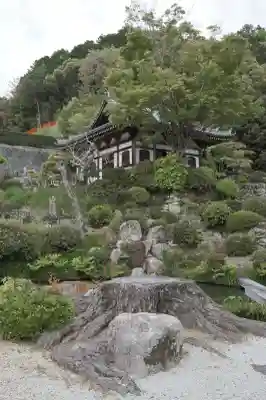 妙感寺の{uncategorized: "未分類", other: "その他", undefined: "問題あり", building: "その他建物", grave: "お墓", sacred_gate: "鳥居", guardian: "狛犬", statue: "像", buddha: "仏像", history: "歴史", nature: "自然", garden: "庭園", animal: "動物", pagoda: "塔", temizu: "手水舎", mountain_gate: "山門・神門", sanctuary: "本殿・本堂", subordinate: "末社・摂社", art: "芸術", scenery: "景色", jizo: "地蔵", ema: "絵馬", goshuin: "御朱印", omikuji: "おみくじ", items: "授与品その他", amulet: "お守り", goshuincho: "御朱印帳", eats: "食事", festival: "お祭り", votive_dance: "神楽", shichigosan: "七五三参", wedding: "結婚式", experience: "体験その他", initially: "初詣", around: "周辺", anti_infection: "感染症対策"}