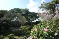 海蔵寺(神奈川県)
