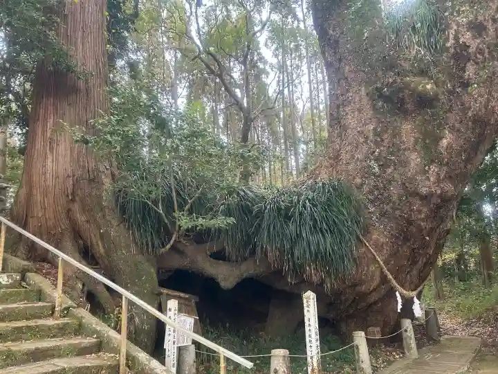 田ノ上八幡神社の{uncategorized: "未分類", other: "その他", undefined: "問題あり", building: "その他建物", grave: "お墓", sacred_gate: "鳥居", guardian: "狛犬", statue: "像", buddha: "仏像", history: "歴史", nature: "自然", garden: "庭園", animal: "動物", pagoda: "塔", temizu: "手水舎", mountain_gate: "山門・神門", sanctuary: "本殿・本堂", subordinate: "末社・摂社", art: "芸術", scenery: "景色", jizo: "地蔵", ema: "絵馬", goshuin: "御朱印", omikuji: "おみくじ", items: "授与品その他", amulet: "お守り", goshuincho: "御朱印帳", eats: "食事", festival: "お祭り", votive_dance: "神楽", shichigosan: "七五三参", wedding: "結婚式", experience: "体験その他", initially: "初詣", around: "周辺", anti_infection: "感染症対策"}
