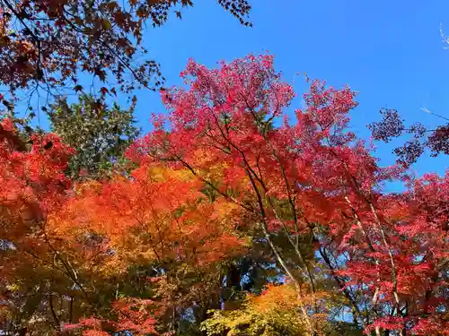 来迎院(京都府)