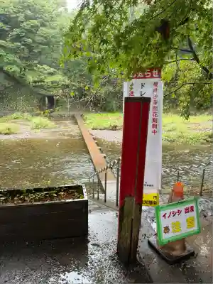 高麗神社(埼玉県)