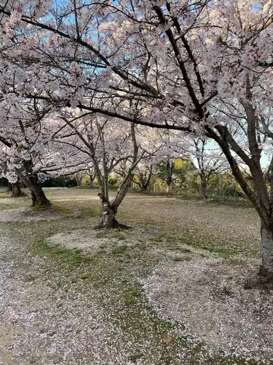 貴船神社の自然