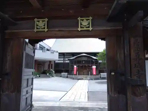 真成寺(富山県)