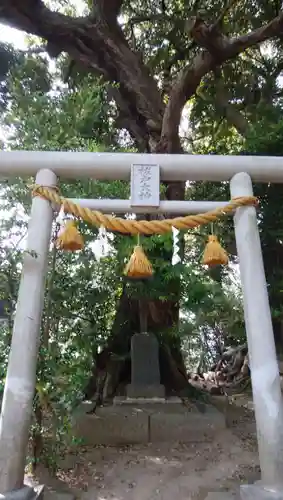 戸隠神社(千葉県)
