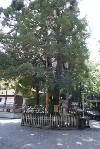 大神神社の自然