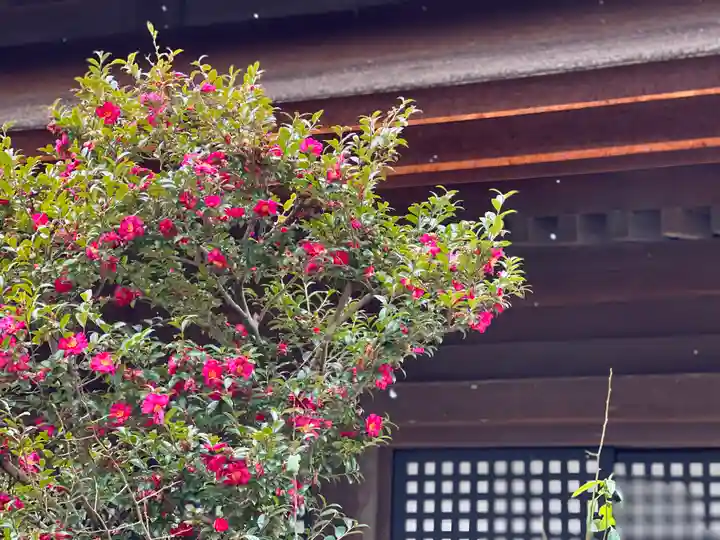 清水寺(京都府)