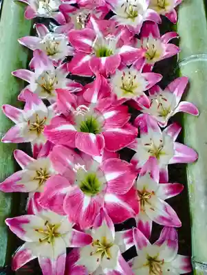 立志神社(滋賀県)