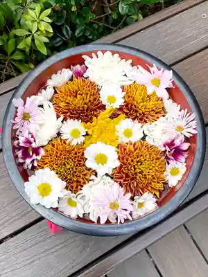 増上寺塔頭 三縁山 宝珠院(東京都)