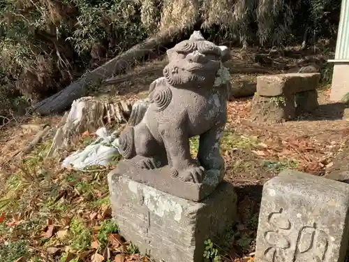 蔵王神社の狛犬