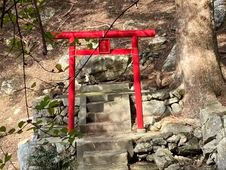 金華山黄金山神社(宮城県)