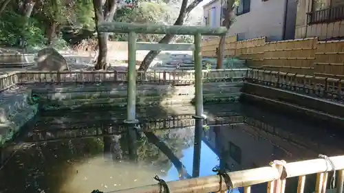 大洗磯前神社の庭園