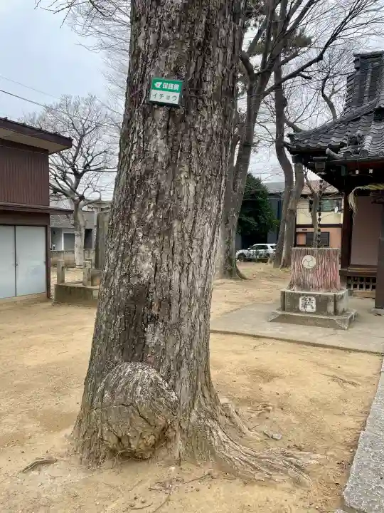 上小岩天祖神社の{uncategorized: "未分類", other: "その他", undefined: "問題あり", building: "その他建物", grave: "お墓", sacred_gate: "鳥居", guardian: "狛犬", statue: "像", buddha: "仏像", history: "歴史", nature: "自然", garden: "庭園", animal: "動物", pagoda: "塔", temizu: "手水舎", mountain_gate: "山門・神門", sanctuary: "本殿・本堂", subordinate: "末社・摂社", art: "芸術", scenery: "景色", jizo: "地蔵", ema: "絵馬", goshuin: "御朱印", omikuji: "おみくじ", items: "授与品その他", amulet: "お守り", goshuincho: "御朱印帳", eats: "食事", festival: "お祭り", votive_dance: "神楽", shichigosan: "七五三参", wedding: "結婚式", experience: "体験その他", initially: "初詣", around: "周辺", anti_infection: "感染症対策"}