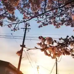 尾張大國霊神社（国府宮）の自然