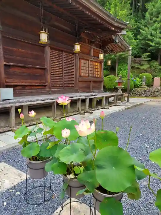 慈尊院(和歌山県)